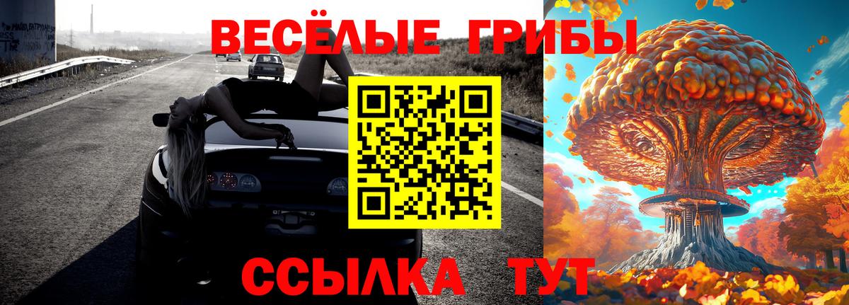 Галлюциногенные грибы ЛСД Алексеевка