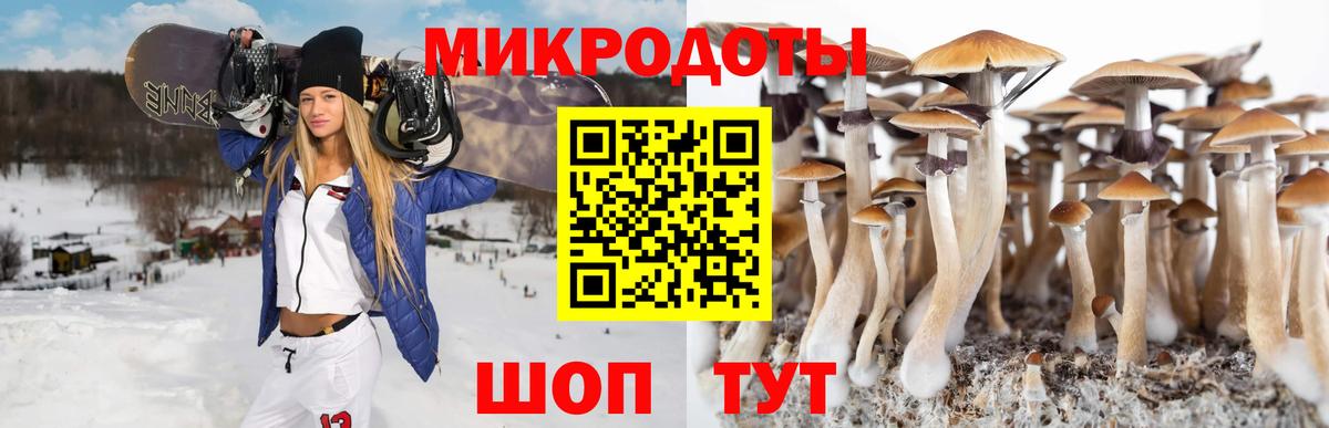Галлюциногенные грибы Cubensis  наркотики  Алексеевка  Вход с VPN 
